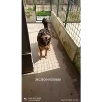 COMUNE DI SERINO - 380260044050680